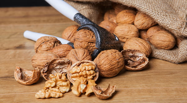 تصویر 2 از فروش گردو محلی مازندران + قیمت خرید به صرفه
